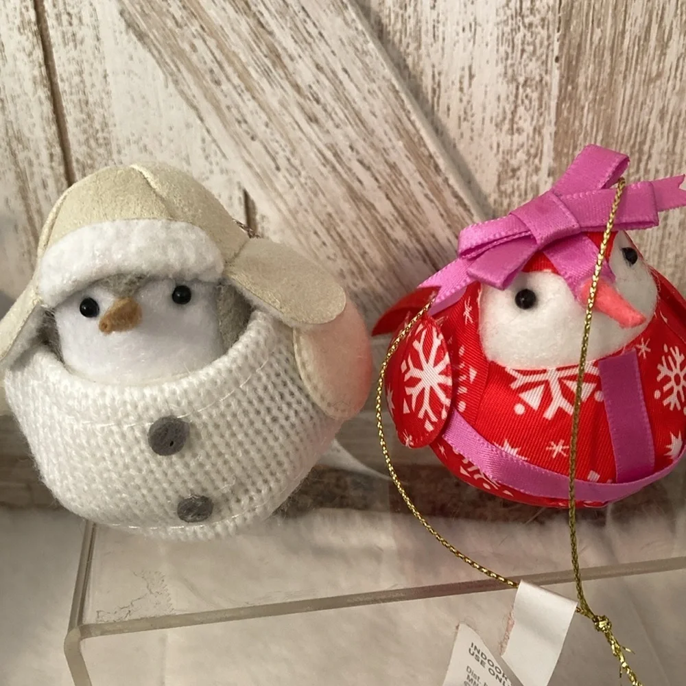 Target 2022 Wondershop Christmas Bird Ornaments